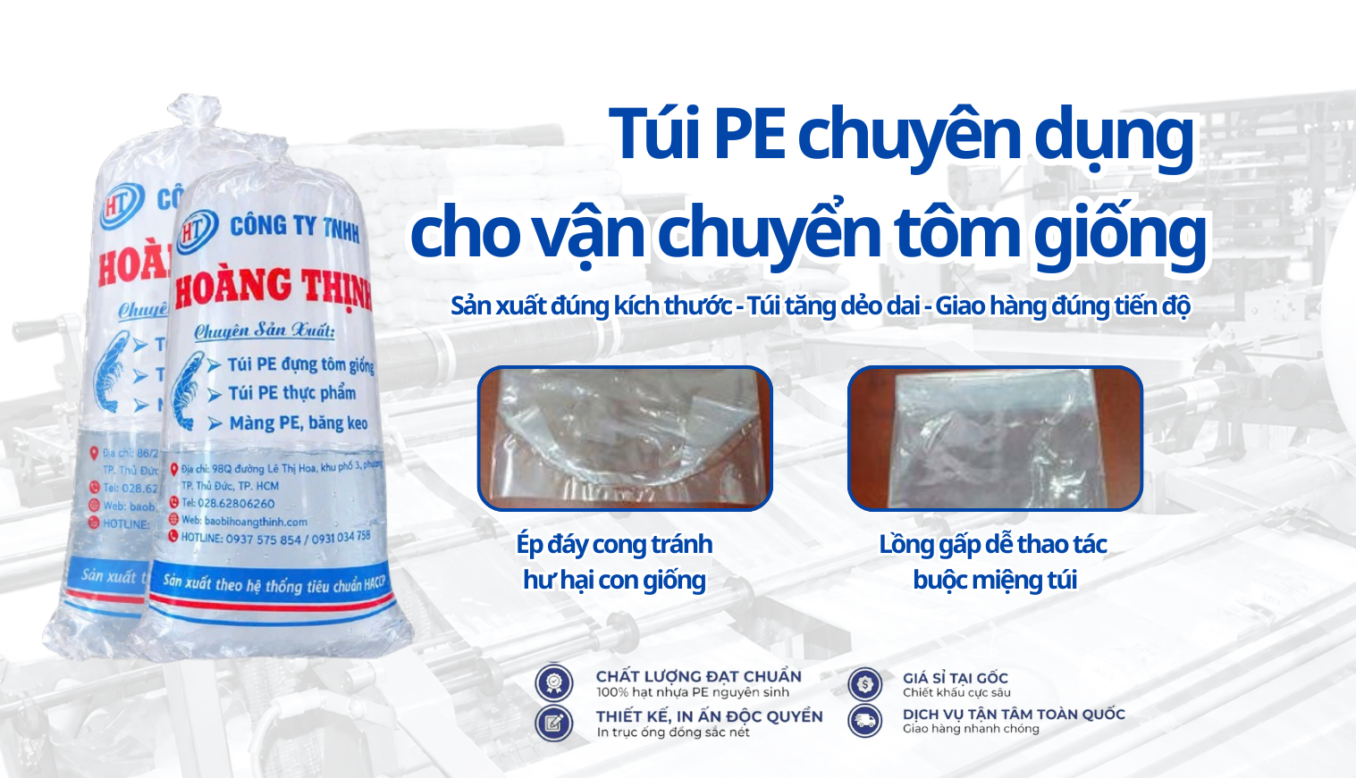 Túi PE chuyên dụng cho vận chuyển tôm giống và các loại thủy hải sản khác